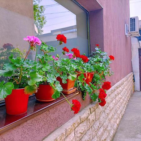 Luta Studio Bukurešť Exteriér fotografie